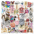 10/25/50 Stück Anatomie des menschlichen Körpers Physiologie Aufkleber Graffiti für DIY Scrapbooking Telefon Laptop Gitarre Koffer Auto Skateboard