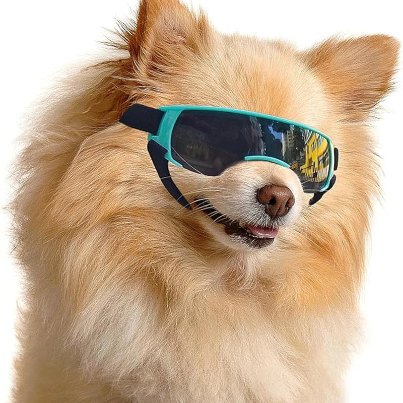 Hunde-Sonnenbrille, kleine Hundebrille für kleine Hunde, winddichte Anti-UV-Brille für Hunde, Augenschutz im Freien