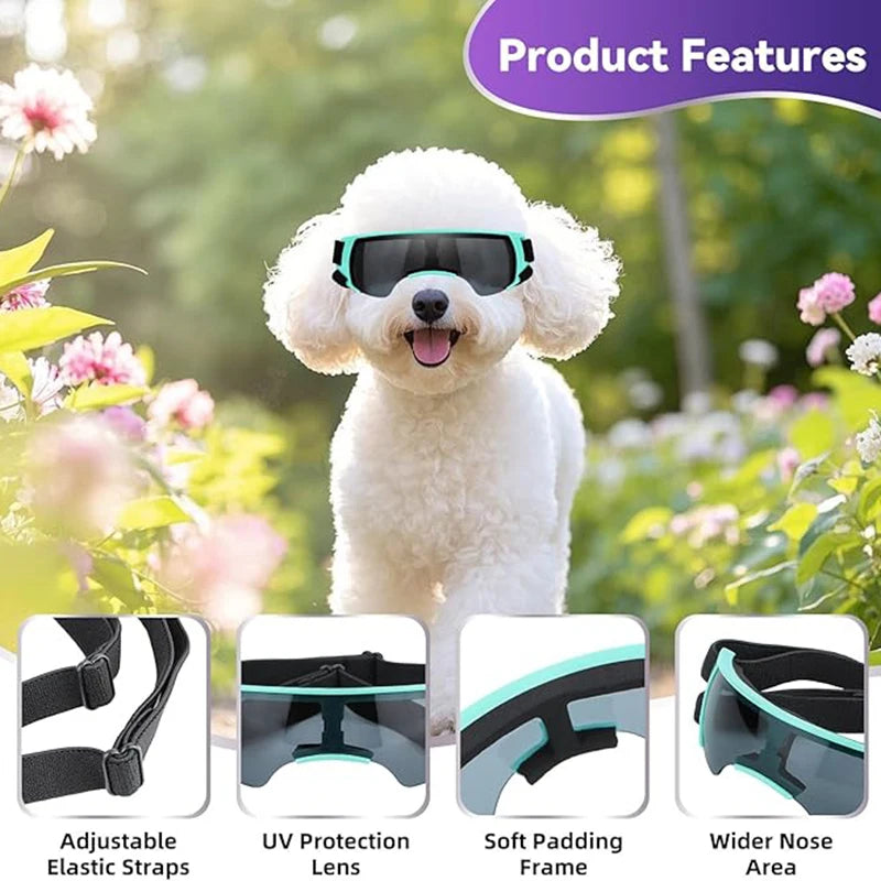 Hunde-Sonnenbrille, kleine Hundebrille für kleine Hunde, winddichte Anti-UV-Brille für Hunde, Augenschutz im Freien