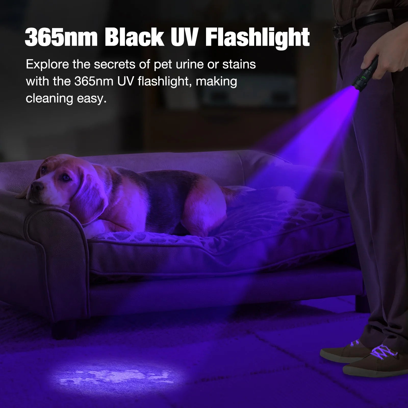 UltraFire 502UV Pro UV-Taschenlampe, 365/395 nm, Schwarzlicht, USB C, wiederaufladbar, für Tierhaare, Urinflecken, Skorpione, Geld, ultraviolettes Licht