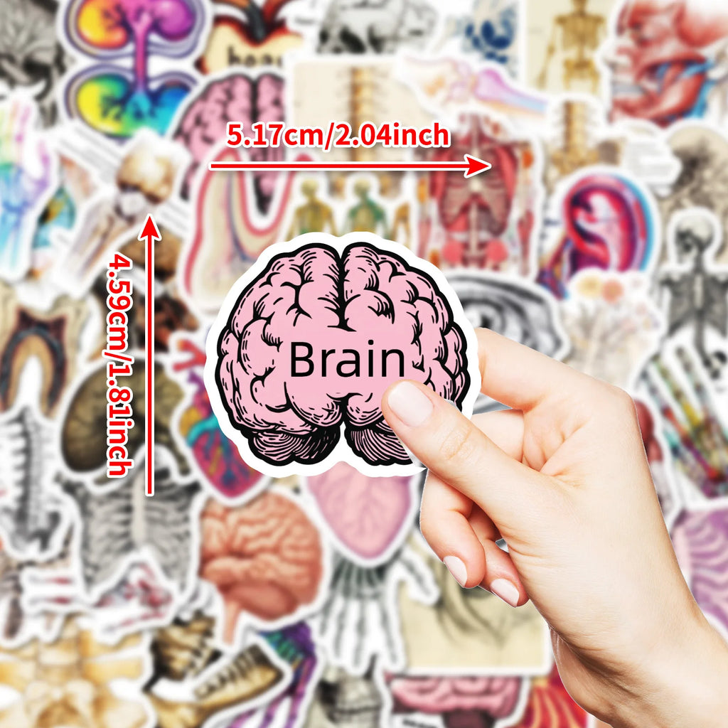 10/25/50 Stück Anatomie des menschlichen Körpers Physiologie Aufkleber Graffiti für DIY Scrapbooking Telefon Laptop Gitarre Koffer Auto Skateboard