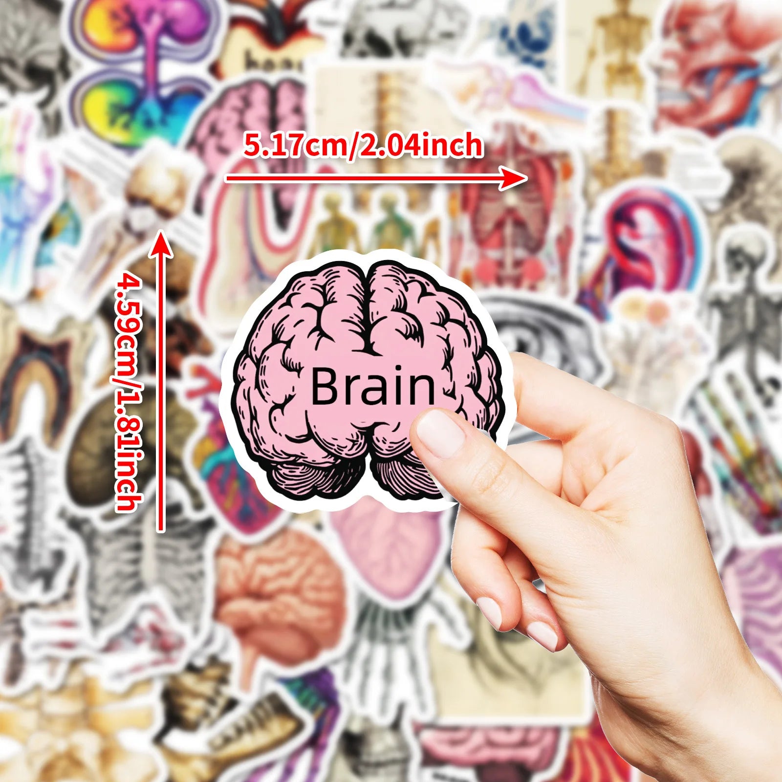 10/25/50 Stück Anatomie des menschlichen Körpers Physiologie Aufkleber Graffiti für DIY Scrapbooking Telefon Laptop Gitarre Koffer Auto Skateboard