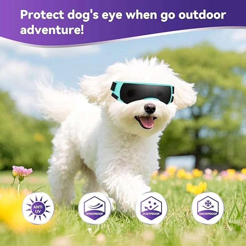 Hunde-Sonnenbrille, kleine Hundebrille für kleine Hunde, winddichte Anti-UV-Brille für Hunde, Augenschutz im Freien