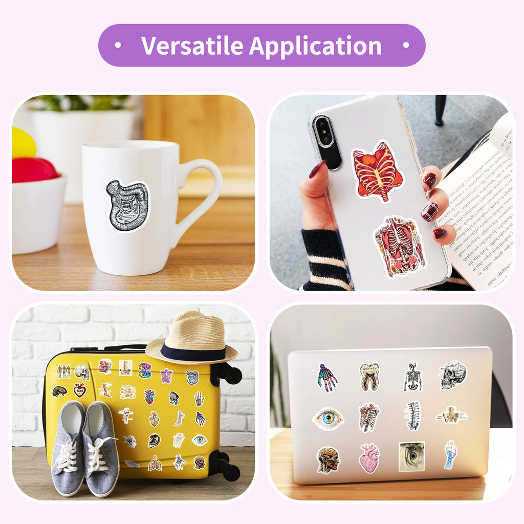 10/25/50 Stück Anatomie des menschlichen Körpers Physiologie Aufkleber Graffiti für DIY Scrapbooking Telefon Laptop Gitarre Koffer Auto Skateboard