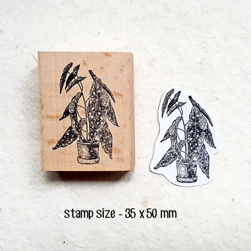 Scrapbooking Stempel Zimmerpflanzenliebhaber Alocasie Anthurium Begonie Tagebuch Dekoration Journaling Holzstempel