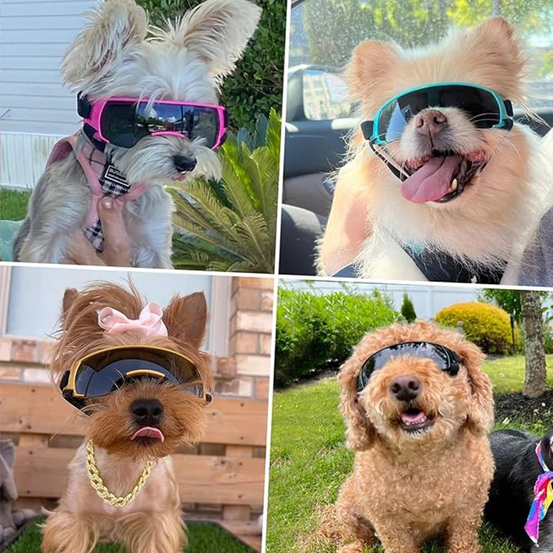 Hunde-Sonnenbrille, kleine Hundebrille für kleine Hunde, winddichte Anti-UV-Brille für Hunde, Augenschutz im Freien