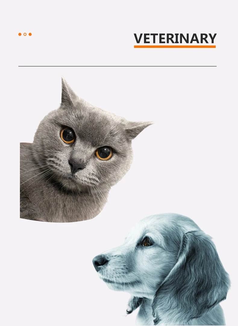 Tragbare Handspaltlampe für Tierärzte zur Untersuchung von Hunden, Katzen und Pferden: Katarakt, Hornhaut, Augenlid, Sklera, Iris