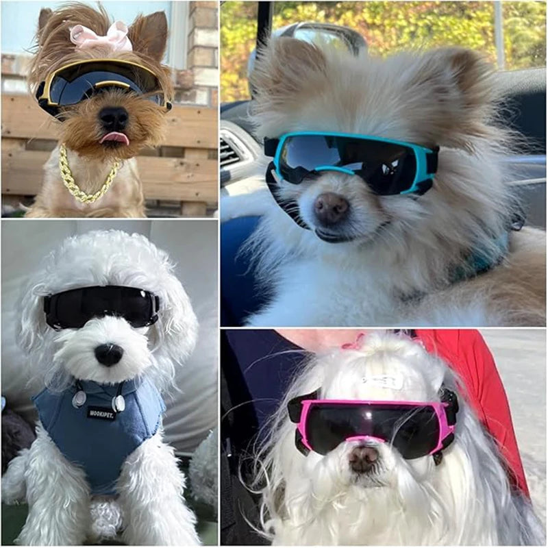 Hunde-Sonnenbrille, kleine Hundebrille für kleine Hunde, winddichte Anti-UV-Brille für Hunde, Augenschutz im Freien
