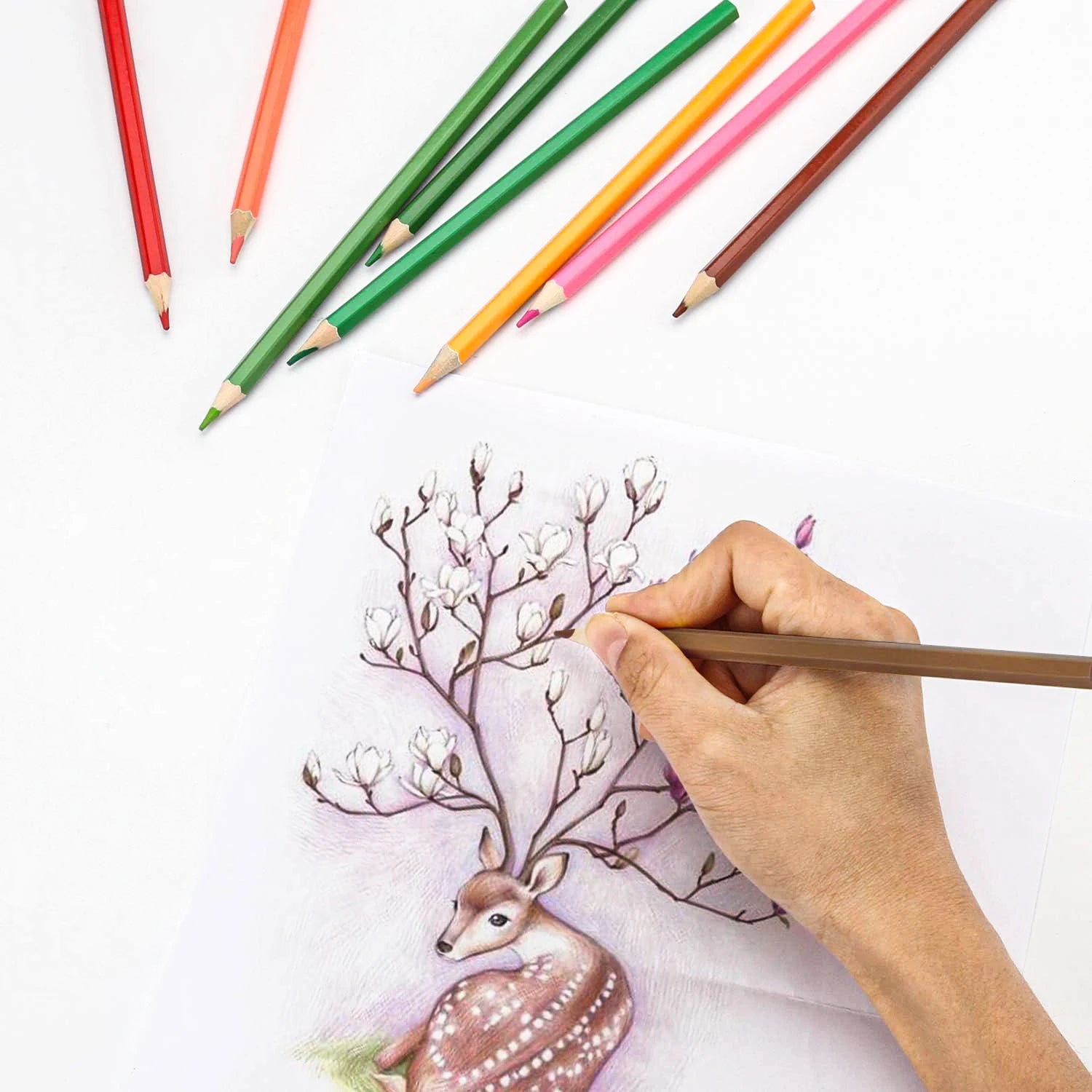 Aquarellstifte, 48er-Set professionelle Buntstifte für Erwachsene und Jugendliche, Premium-Künstlerbedarf zum Ausmalen, Mischen und