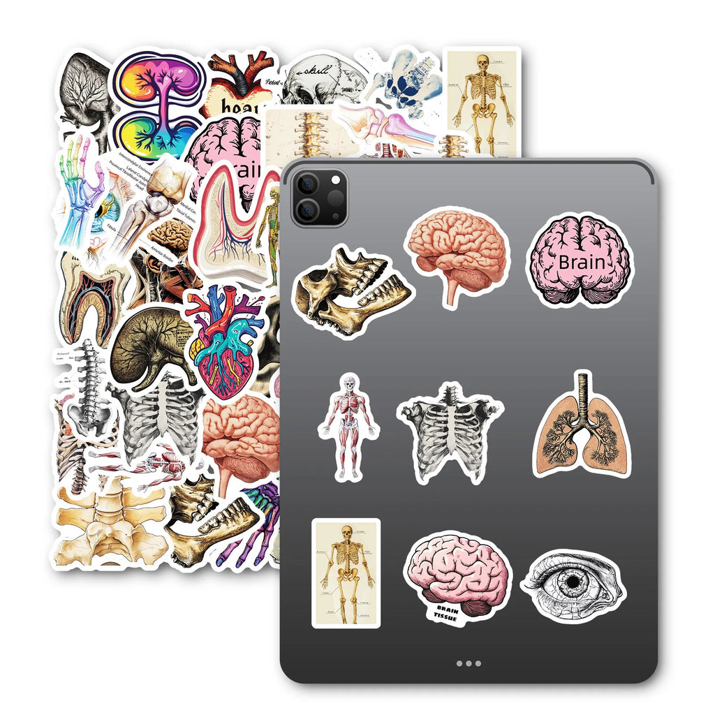 10/25/50 Stück Anatomie des menschlichen Körpers Physiologie Aufkleber Graffiti für DIY Scrapbooking Telefon Laptop Gitarre Koffer Auto Skateboard