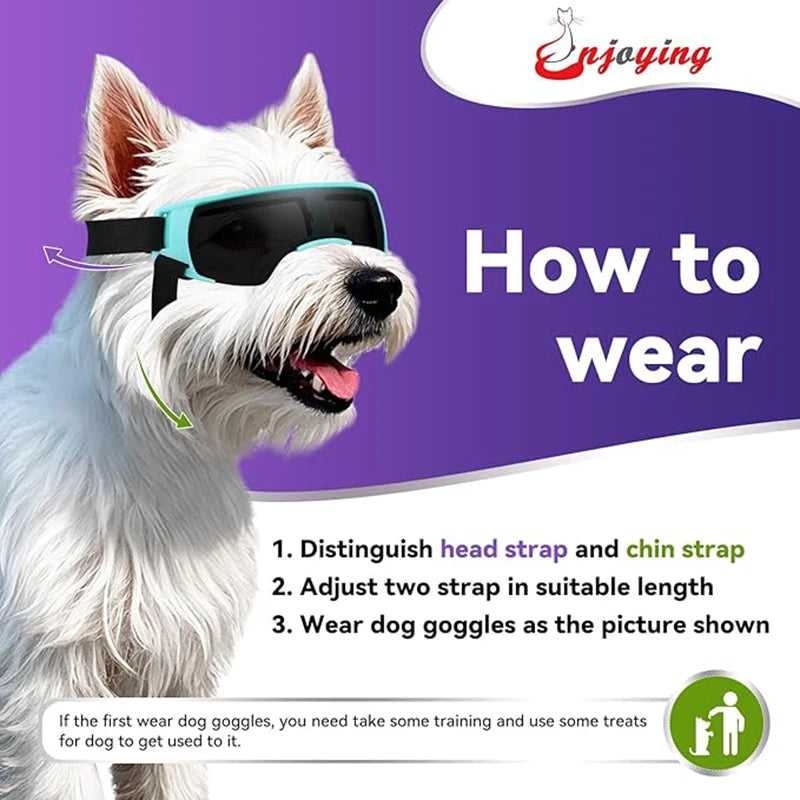 Hunde-Sonnenbrille, kleine Hundebrille für kleine Hunde, winddichte Anti-UV-Brille für Hunde, Augenschutz im Freien