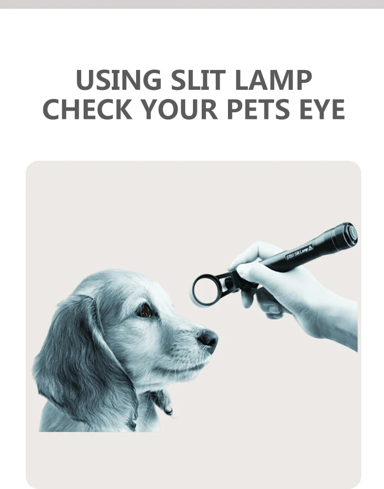 Tragbare Handspaltlampe für Tierärzte zur Untersuchung von Hunden, Katzen und Pferden: Katarakt, Hornhaut, Augenlid, Sklera, Iris
